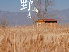 -野鸭湖国家湿地公园