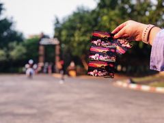 -清迈夜间动物园