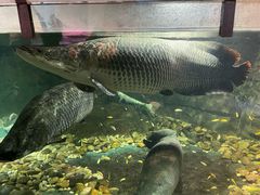 -嘉兴海底世界