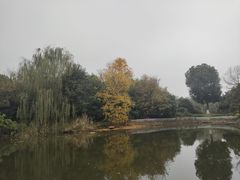 -天目湖涵田半山温泉
