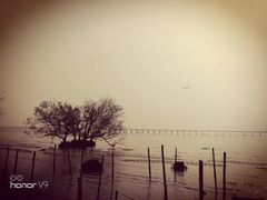 -宝安西湾红树林湿地公园