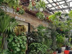 -溪岸路花鸟市场