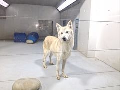 -大连圣亚海洋世界