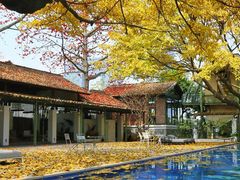-喜洲吧·江畔老船厂·庭院餐厅(喜临院店)