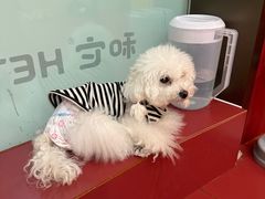 -和它·交个朋友·狗咖猫咖(爱琴海店)