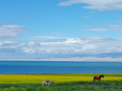 -青海湖国家重点风景名胜区