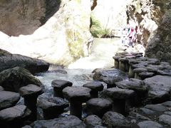 -牛背梁国家森林公园