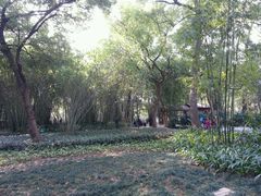 android_upload_pic-晓港公园