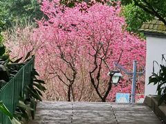-乌山风景区