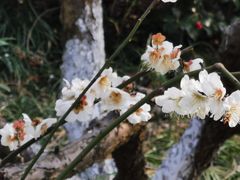 -荆川公园