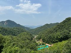-栾川竹海野生动物园