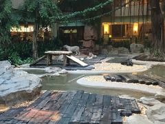 景观位-白虎自助餐厅·真老虎·景观自助餐厅(广州长隆酒店)