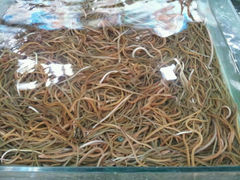 android_upload_pic-渔民新村(番禺总店)