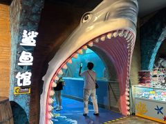 -合肥海洋世界