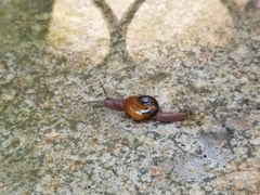 -湖洞水自然风景区