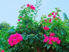 -铁路文化公园