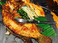 -云海肴·汽锅鸡·云南菜(天津国金汇店)