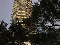 -博雅塔