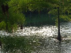 -尚贤河湿地