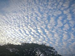 -海南清水湾莱佛士酒店