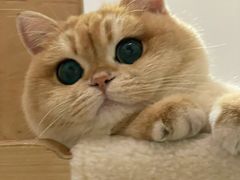 -荔康动物医院(康王北路店)