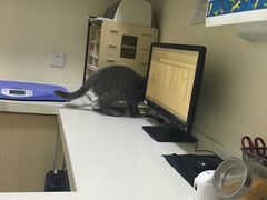 -芭比堂动物医院·犬猫全科·异宠专科(雁塔分院)