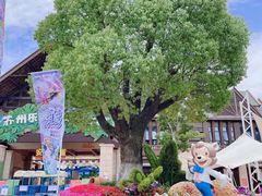 -苏州乐园森林水世界