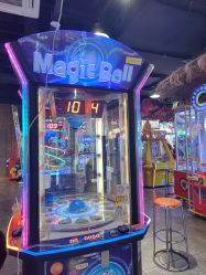 -卡通尼·Safari非洲探索乐园·生日会(金桥国际商业广场店)