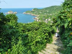 -枸杞岛