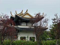 -江心屿景区