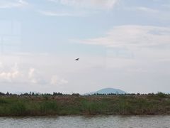 -漩门湾国家湿地公园