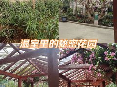 -石家庄市植物园