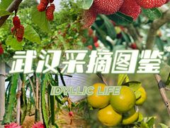-武汉开心果园农业发展有限公司