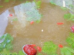 -菌子鲜汤野生菌锅