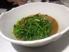 蚌肉金花菜-洋洋中餐馆·SINCE 1997(信投店)