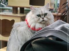 -小时光咖啡馆(北锣鼓巷店)