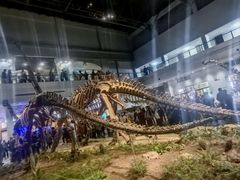 -自贡恐龙博物馆