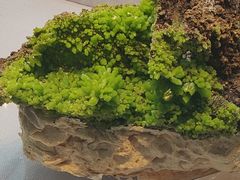 -湖南省地质博物馆