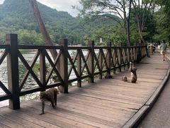 -黔灵山公园