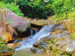 -梧桐山风景名胜区
