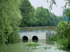 -溱湖国家湿地公园