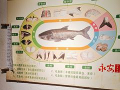 -永安水煮活鱼·仪征土菜院子