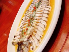 清蒸大白鱼-老江南春·中国龙菜(衡山路店)