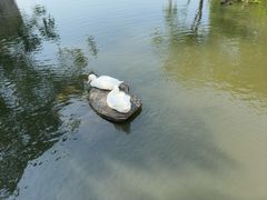 -新江湾城公园