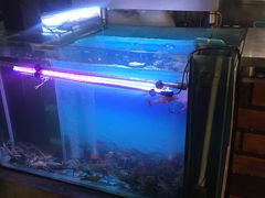 -The Dishes Seafood & Restaurant