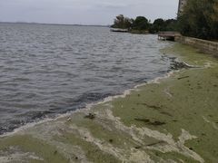 -阳澄湖半岛旅游度假区
