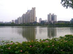 android_upload_pic-西北湖绿化广场