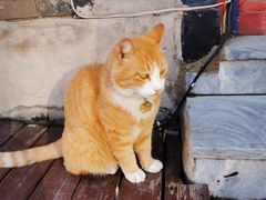 -Tubestation站点比萨(五道营店)