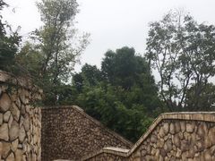 -桐乡凤凰湖