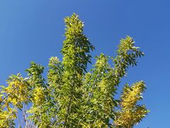 -张掖大佛寺景区